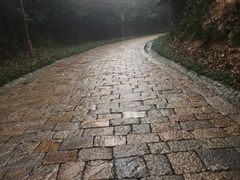 -普陀山风景区-佛顶山