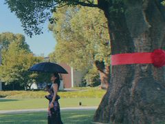 -养云安缦吧THE BAR