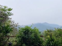 -龙山酒店温泉