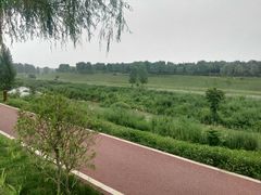 -洨河生态公园