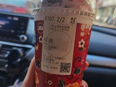 -雾与山茶(大禹城店)
