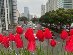 -耶里夏丽·丝路新疆菜·清真食品(徐汇南丹东路臻选店)
