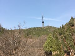 -府君山公园