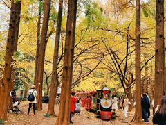 -共青国家森林公园-南大门停车场