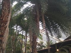 -龙达温泉生态城