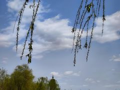 -西海子公园