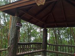 -神光山国家森林公园