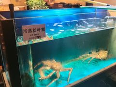 -千代武日本料理(爱建店)
