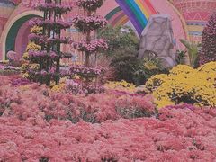 -武汉园博园(武汉自然博物馆)