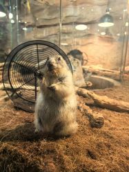 -Zoolung Zoolung动物主题公园(海信广场店)