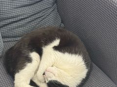 -路易时光(蕴川路店)