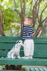 -大连棒棒糖儿童摄影(熊洞街店)