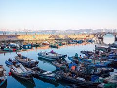 -悦海公园