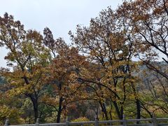 -沂蒙山旅游区云蒙景区(蒙山国家森林公园)