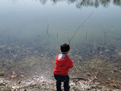 -大兴滨河森林公园