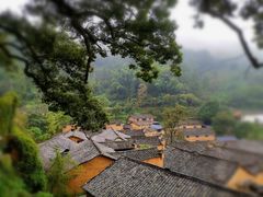 -杨家堂村