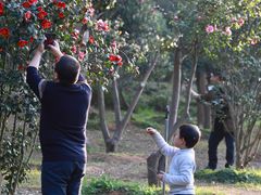 -南国桃园旅游度假区