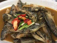 -芦茨金富饭庄·25年老字号·专做稻草鸡