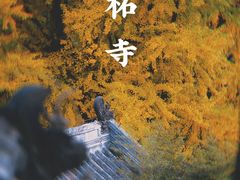 -潭柘寺景区