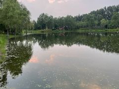 -东郊湿地公园