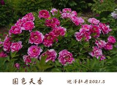 -迎泽公园