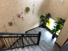 -宠爱国际动物医院· 猫科· 外科·中兽医(长白店)