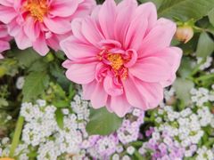 -福阳·足道养生会所(远大路店)