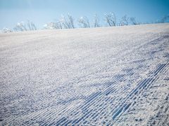 -中旅松花湖滑雪场