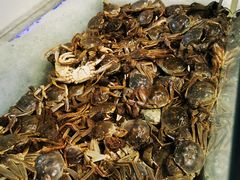 -圣罗巴甄选自助(麦凯乐店)