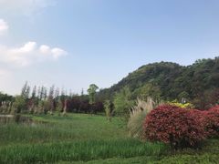 -贵阳市花溪国家城市湿地公园