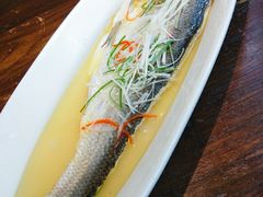 清蒸太湖白鱼-金枝玉叶上海人家食府(三里河店)
