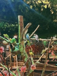 -酷嗒动物文化乐园(cutezoo西溪乐天城店)