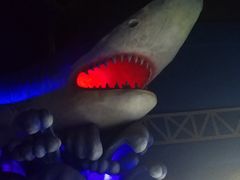 -泉城欧乐堡海洋极地世界