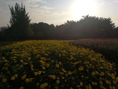 -西南民族大学南区(双流校区)