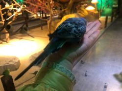 -酷嗒动物文化乐园(cutezoo西溪乐天城店)