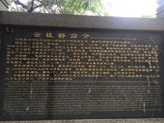 -晓港公园