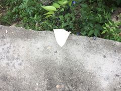 -碓臼峪自然风景区