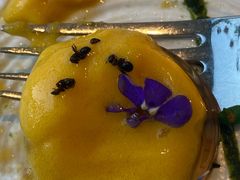 -九献私房菜(亮马河花园私宴店)