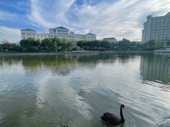 -龙熙维景国际会议中心