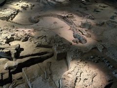 -自贡恐龙博物馆