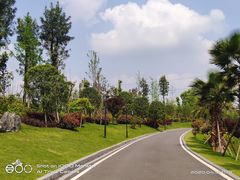 -枫香湖儿童公园