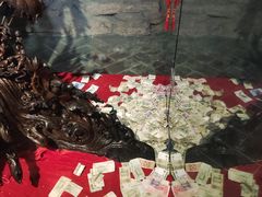 -乐山乌木文化博览苑