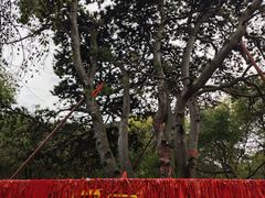 -北陵公园