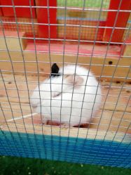 -萌宠亲子动物乐园(槐房万达店)