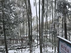-江南天池高山汤泉城