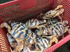 -班赞海鲜市场