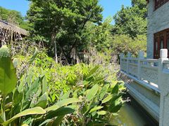 -顺峰山公园