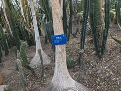 -北京植物园-展览温室