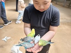 -呀路古热带植物园