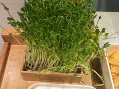 -俏牛哥鲜牛肉牛肆馆(重庆天地店)